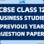 Business Studies Previous Year Papers